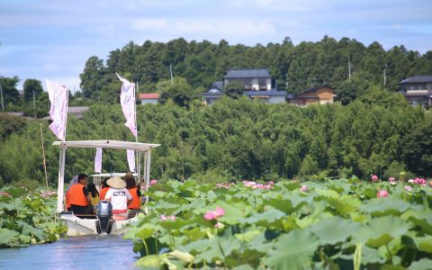 【登米市】2018年 長沼はすまつり開催中です！