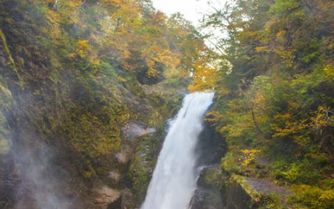 【仙台市太白区】日本の名瀑・秋の秋保大滝