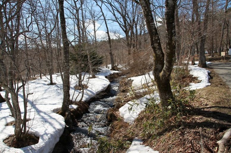 泉ヶ岳　雪解け水