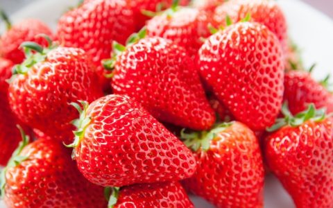 🍓宮城県の厳選「いちご狩り」スポット紹介