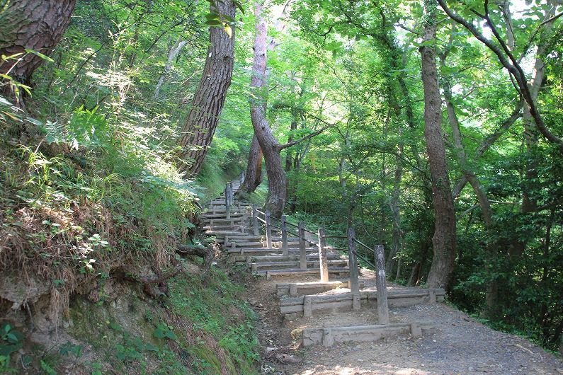 松島四大観　大高森