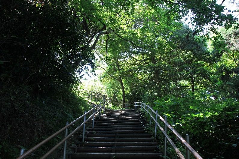 松島四大観　大高森