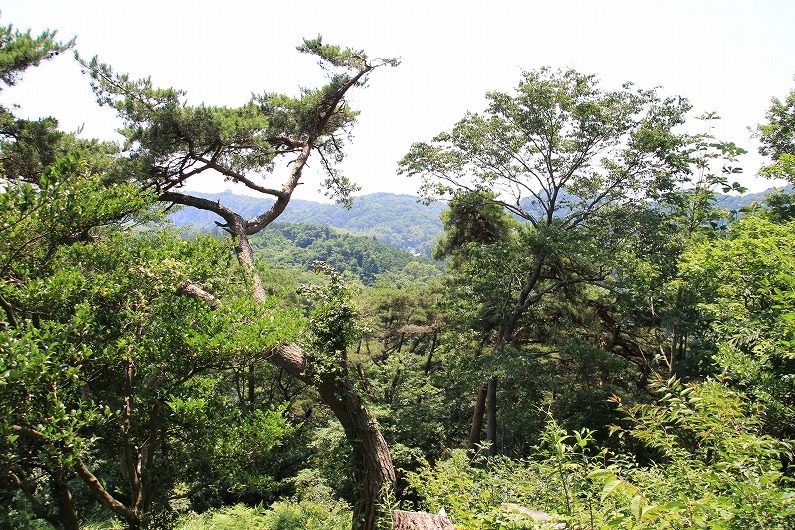 奥松島・嵯峨見台