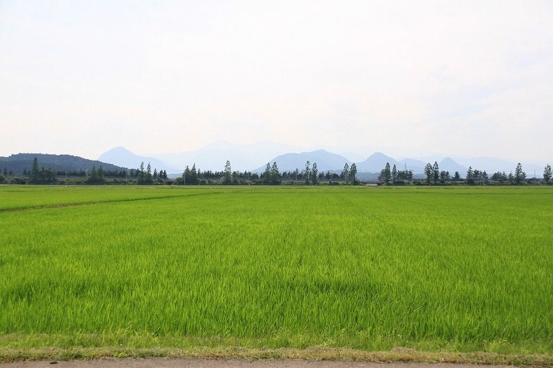 大和町・七ツ森