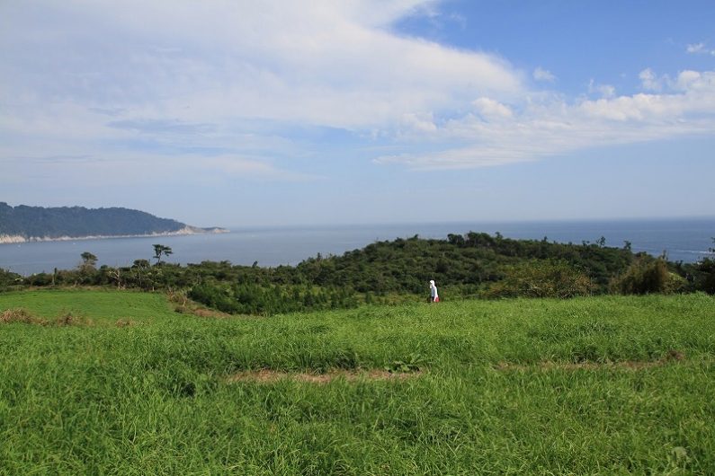 宮城県石巻市・牡鹿半島～東奥三大霊場「金華山・黄金山神社」を巡る旅