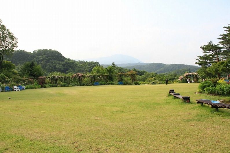 仙台市泉区 七北田ダム湖畔･花自然植物園 泉ボタニカルガーデンに行ってきました