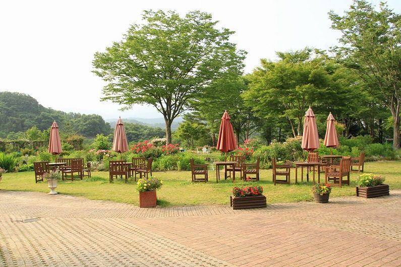 仙台市泉区 七北田ダム湖畔･花自然植物園 泉ボタニカルガーデンに行ってきました