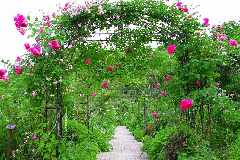 仙台市泉区 七北田ダム湖畔･花自然植物園 泉ボタニカルガーデンに行ってきました